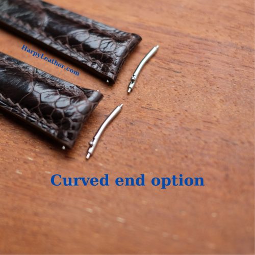 curved lugs strap1